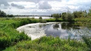Summer Leys Nature Reserve